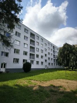 1775545924_49_brezova_snv_2.webp